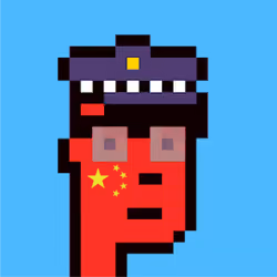 Punk Flag #China