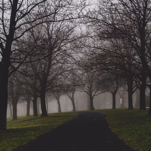 Echoes Of Solitude