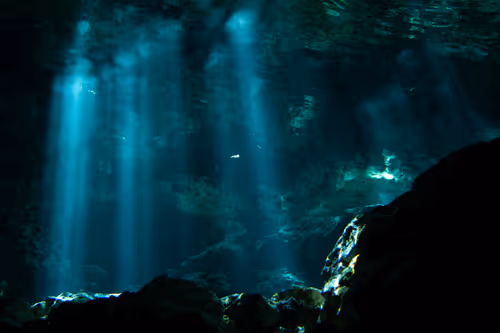 Item #25422583313571458459737529461820134862175223810011730482418987929940583776257 Media