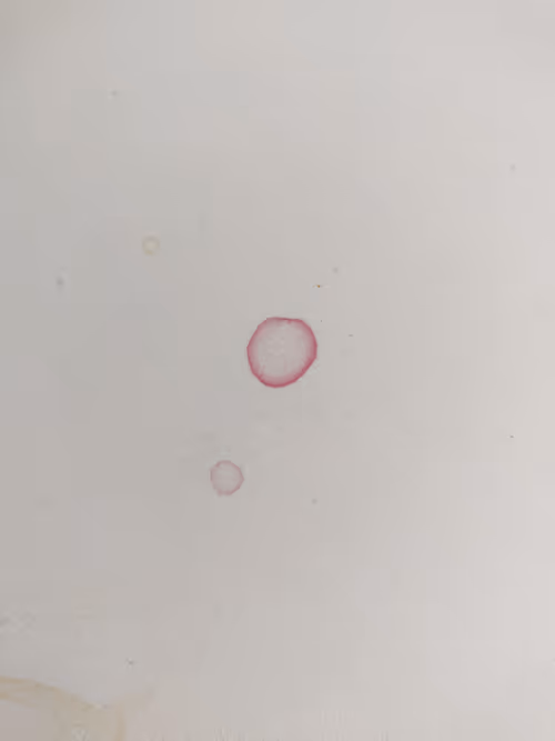 Item #44659341983174900277615426972380684672489201164834520372691987089818692616193 Media