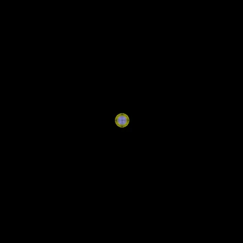Physarum Series