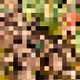 2850415134272365380187775685678842410458265265709128331682257651411305103361