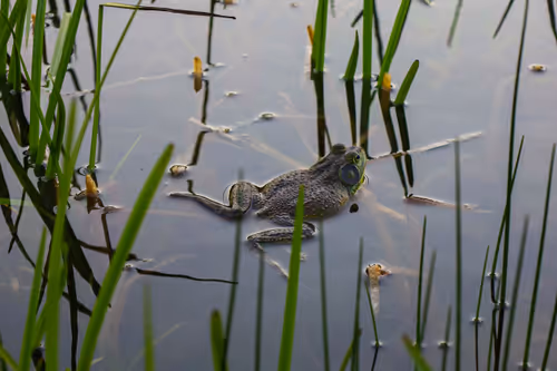 Item #19684374529110288056520570276703370007863893692966726326193838108597813248001 Media