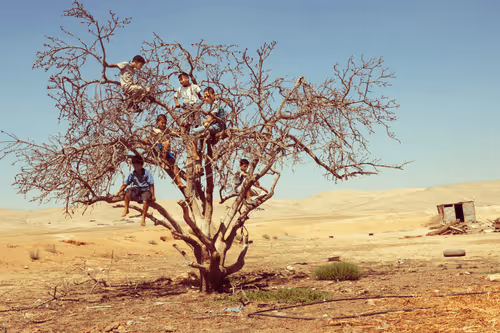 Item #48679334386113124300228803264312006813503011651693068006927871315428736237569 Media