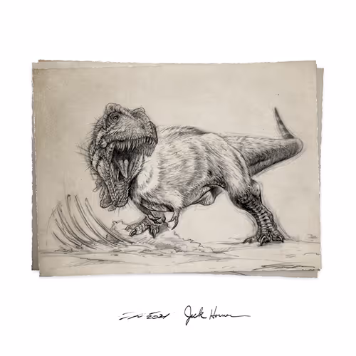 Item #22582927822880265950669941219355019494534003366966592492782895256665082298369 Media