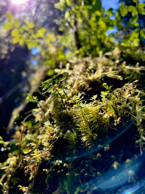 Item #68569921609983084806260736948600394940092661031178232283122914063607840899073 Media