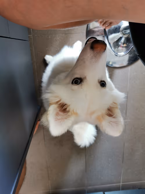 Item #11589634007344310346073007191394288969191527375593807410073591599416960090113 Media