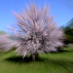 44024487065254451978341284796523308956461514990321328857199441184907228872705