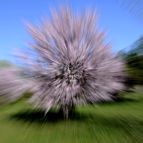 44024487065254451978341284796523308956461514990321328857199441184907228872705