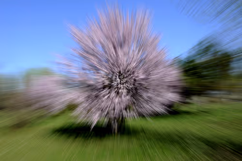 Item #44024487065254451978341284796523308956461514990321328857199441184907228872705 Media