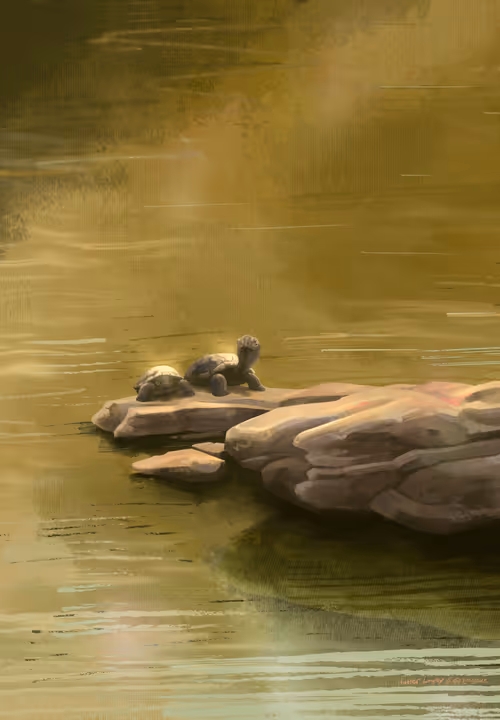 Item #34889168948638262129379084199189082336928189178282046823553391722731518558209 Media