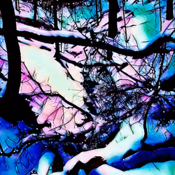 Trippy Tree Series #3