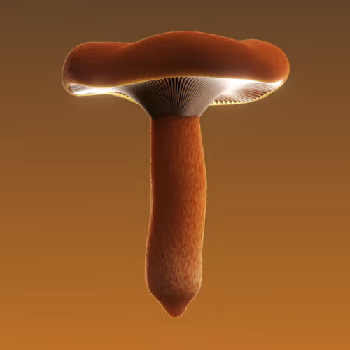 Item #95653877050150474555742155054455970472164202465768371638498214032758718595073 Media