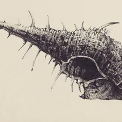 Muto 05