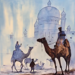CAMEL SAFARI