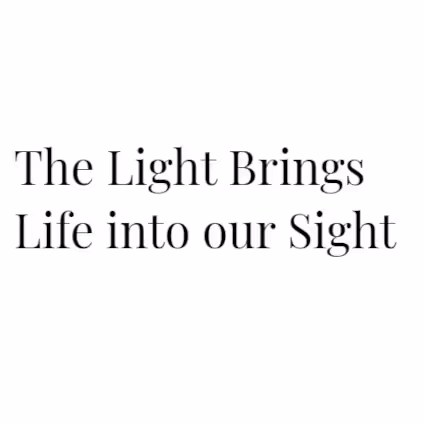 Item #73944425680841378423707497973743319694809260800565833909088422983506428166145 Media