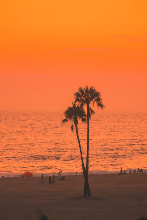 Item #35557780727049604459658880725917592814256363748111026780455796814578708381697 Media