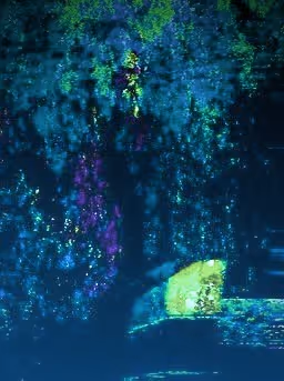 Untitled Collection #175540521 - old