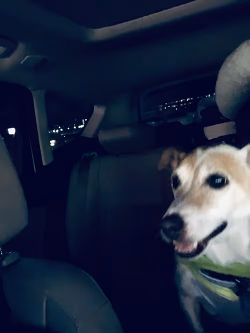 Item #5985210497355107417265215381210579199842884272282595265964883436399214198785 Media