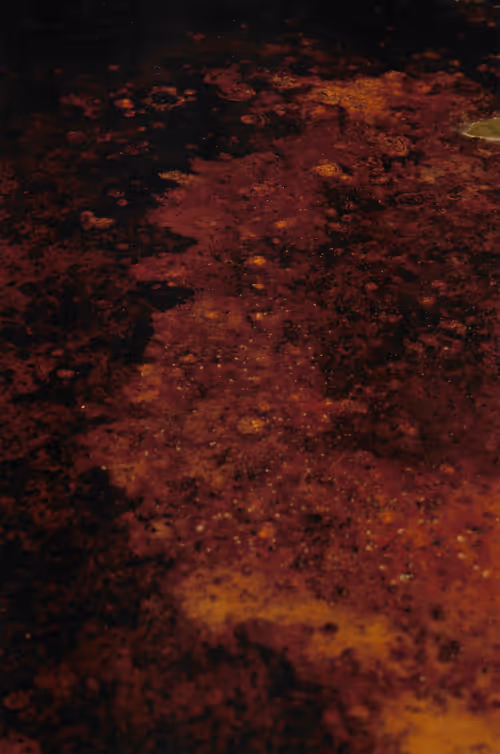 Item #23362206080031759863674021537611628681475652794224112579979904966223957327873 Media