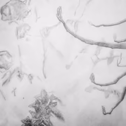 Wall 2