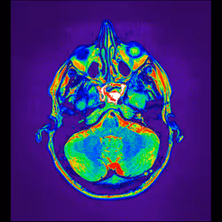 64162533542198579898252916190583583845604629893829087458582975914017785118721