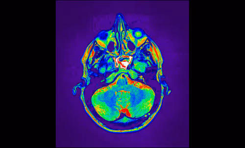 Item #64162533542198579898252916190583583845604629893829087458582975914017785118721 Media