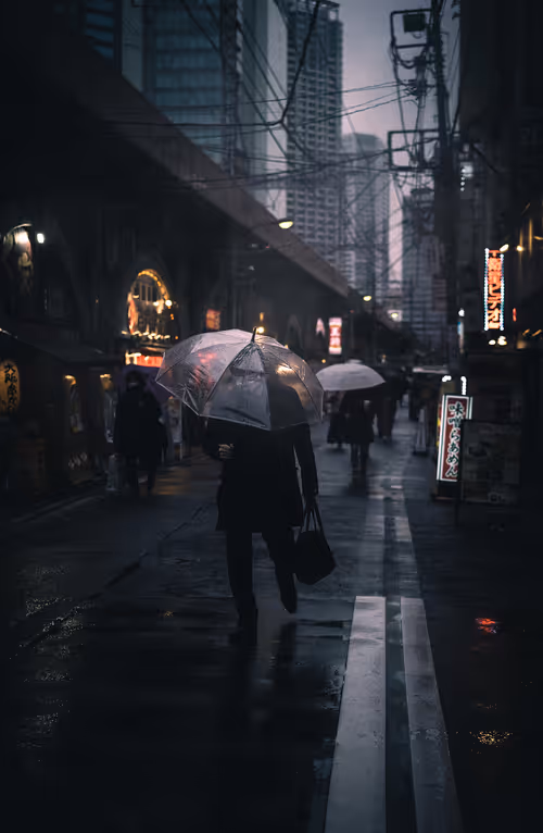 Item #54932601403696324366620882500937899754609465026993680203727088562844288942081 Media