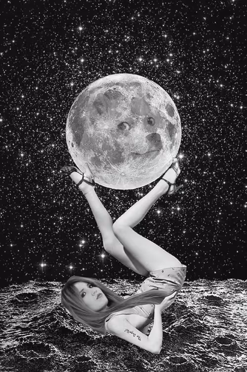 Item #82511661039786011328537326053125123442257722122139178811838564215351177904129 Media