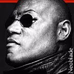 Untitled Collection #26900019