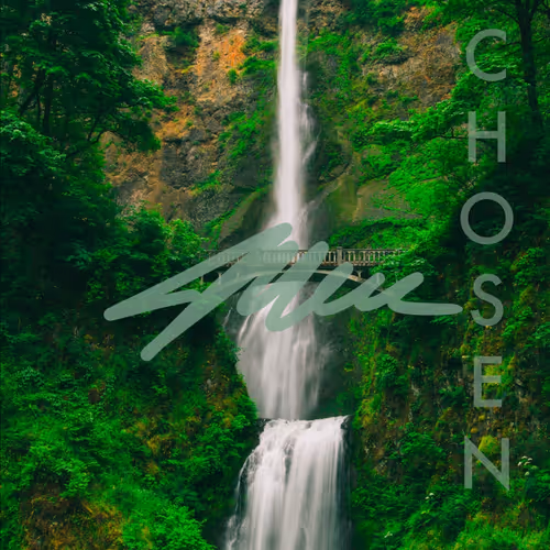 Item #77090404290928523451645394455425533555452543558476722573085422384509337206785 Media