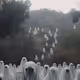 102066913769445226884377488508399715232379284240733987207996029518681961660417
