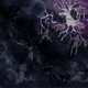 Thaze's Universe