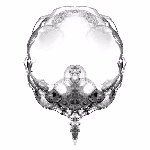 Item #85859191866638808365331437874953228966785819470149775310971062168601808076801 Media