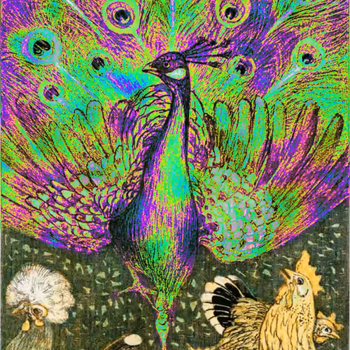 Sophisticatedpsychonauts 1st Trip