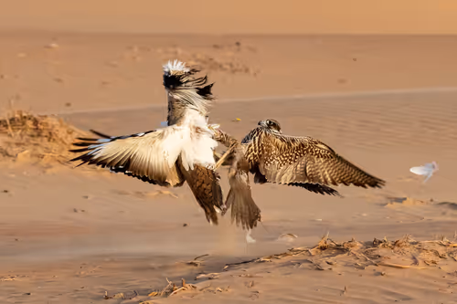 Item #12333759371985289416686528618250941787801478820548931806244366492133763317761 Media