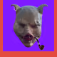 43611548141407519879911017181650845324484260882909911939077050431105937702913