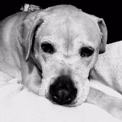 B&W Kona Girl