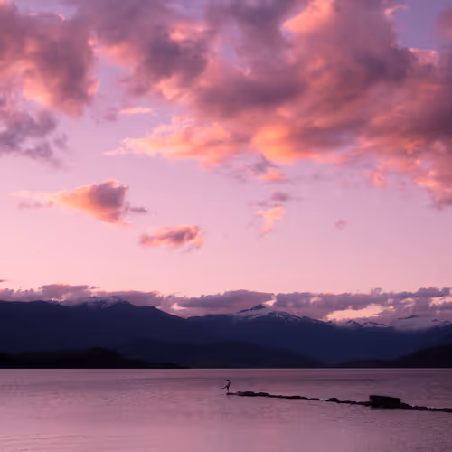 Item #74560649326607298578853393268143794665781666052470848563380919800071492468737 Media