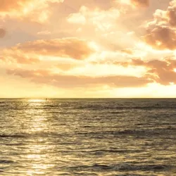 Waikiki Sunset