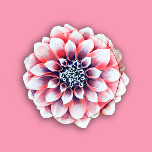 Item #79115913515257539025783308964349680366872385577742308726753253940426256154625 Media