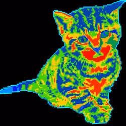Kitty #20