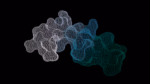 Item #47350829909543671371603060769853362682429688600975311335895424158185226764289 Media