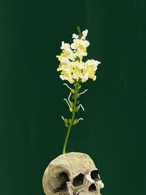 Item #4901728827423370522550681512855827639856928525363398407862637396833050034186 Media