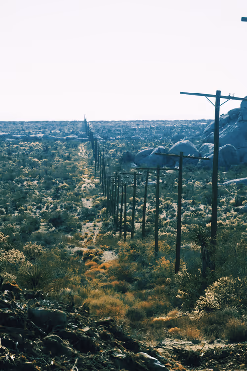 Item #1477567608042929161133967300904577015789959353209458872969039458007951343617 Media