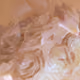 98647933825971538167014356708832577938829494808882293034315128143007352619009