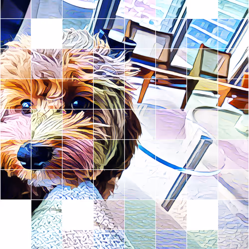 Metaversemaltipoo