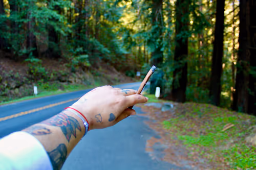 Item #73450565912043107582986494108342994017414102752882869276726541252450551070721 Media