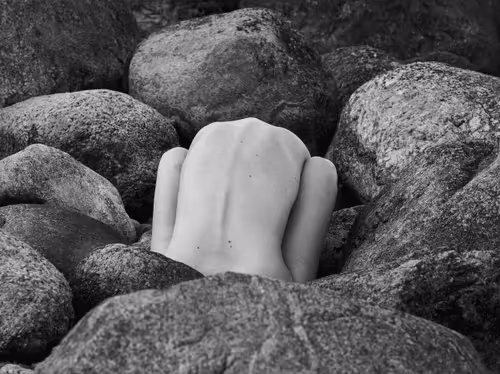 Item #81425468840217938130335513187731669853655760223415782332089084421750212526081 Media