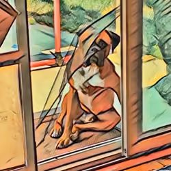 through the screen door